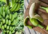 “The Surprising Benefits of Boiled Green Bananas”