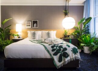 The Three Things You Shouldn’t Keep in Your Bedroom for a Peaceful Slumber