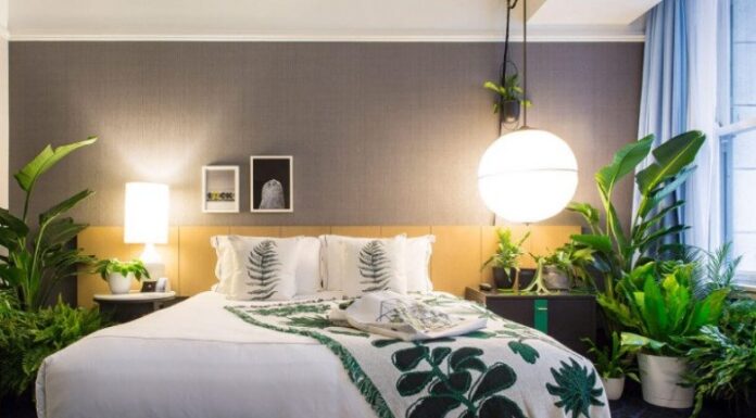 The Three Things You Shouldn’t Keep in Your Bedroom for a Peaceful Slumber