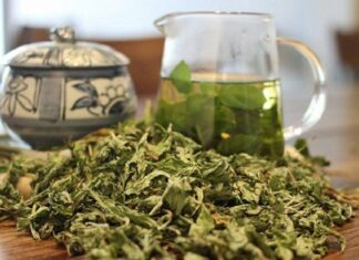 The Ultimate Guide to the ‘Longevity Herb’: Managing Blood Sugar, Cholesterol and Supporting Liver and Bone Health