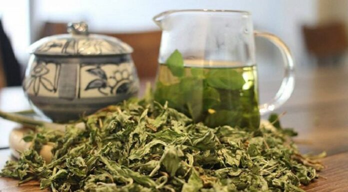 The Ultimate Guide to the ‘Longevity Herb’: Managing Blood Sugar, Cholesterol and Supporting Liver and Bone Health