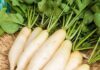 “Turnip: The King of Vegetables, But Don’t Pair It With These Foods If You Want to Stay Healthy”