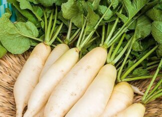 “Turnip: The King of Vegetables, But Don’t Pair It With These Foods If You Want to Stay Healthy”