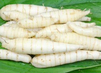 The Ultimate Summer Treat: A Delicious, Nutritious Root Vegetable Delight