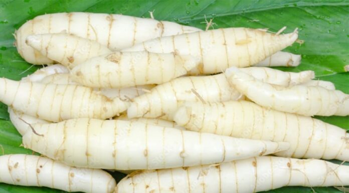 The Ultimate Summer Treat: A Delicious, Nutritious Root Vegetable Delight