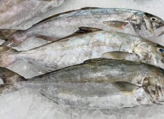 The Ultimate Gourmet Experience: A Culinary Adventure for the Discerning Foodie.