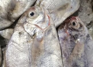 The Tasty Delights of Quang Ninh: A Culinary Adventure with Unique Flavors and Intriguing Names