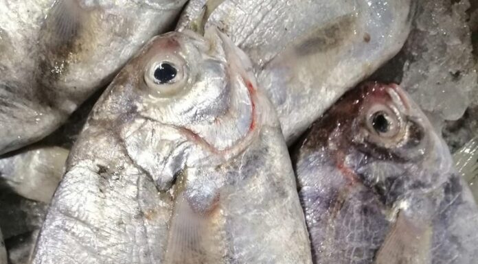 The Tasty Delights of Quang Ninh: A Culinary Adventure with Unique Flavors and Intriguing Names