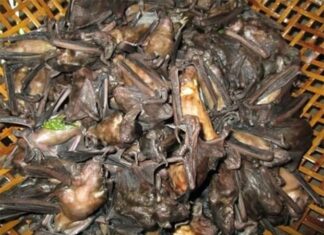 The ‘Oddity’ on the Menu: From Shunned to Savoured, This Dish is Now a Delicacy in Dong Nai