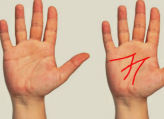 The Secret to Wealth: Is it Written in the Palms of Your Hands?