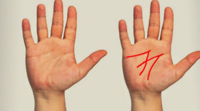 The Secret to Wealth: Is it Written in the Palms of Your Hands?