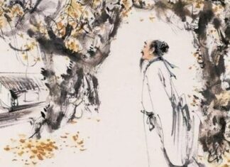 The Intriguing Adage: “The Fears of Falling Creatures: A Snake’s Tale and a Mouse’s Terror”