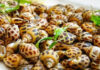 The Ultimate Guide to Vietnamese Edible and Poisonous Snails and Slugs