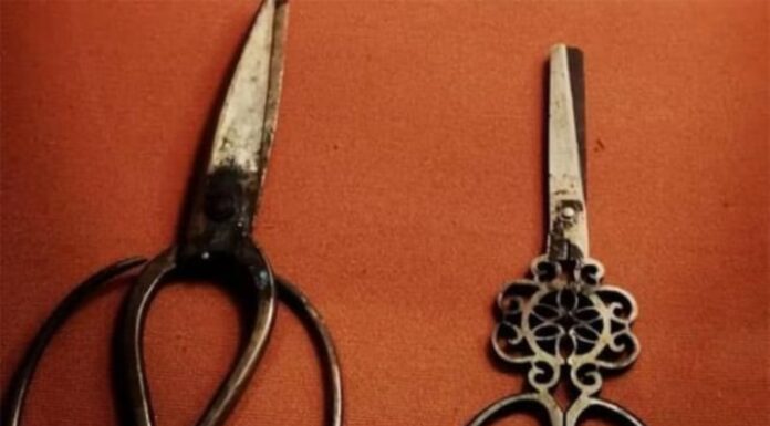 The Ancient Art of Feng Shui: Three Places to Avoid Placing Scissors in Your Home