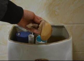 The Magic of Socks: Transform Your Toilet into a Fragrant, Spotless Oasis with This Simple Hack