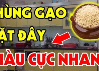 The Golden Rule of Rice Storage: ‘2 Closed, 1 Full’ for a Brimming Wallet