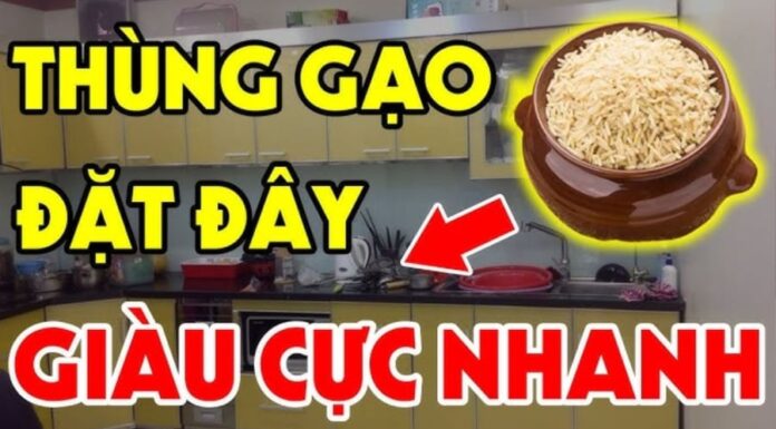 The Golden Rule of Rice Storage: ‘2 Closed, 1 Full’ for a Brimming Wallet