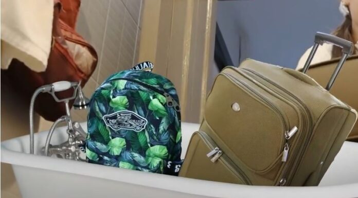 Why Should You Put Your Suitcase in the Bathroom Immediately After Checking Into a Hotel?