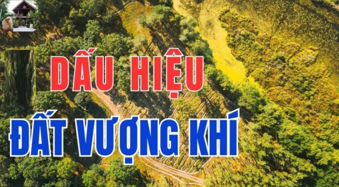 The Four Auspicious Land Forms That Bring Wealth: Build a Home and Prosper for Generations