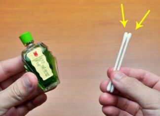 The Magic of Cotton Swabs and Essential Oils: A Simple Hack to Save You a Fortune this Holiday Season.