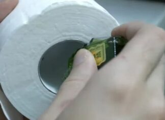 The Magic of Essential Oils: A Whiff of Relief on Humid Days