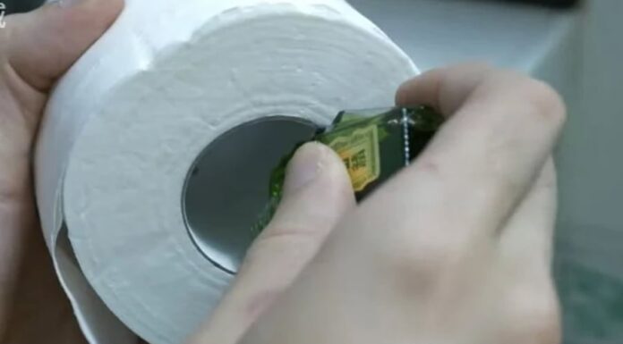 The Magic of Essential Oils: A Whiff of Relief on Humid Days