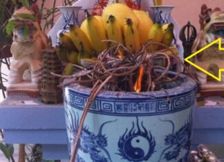 The Top 3 Signs Your Ancestral Incense Burner Needs Replacing: Unveiling the Unknown