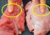 5 Warning Signs of Spoiled Pork: How to Spot and Avoid a Health Hazard