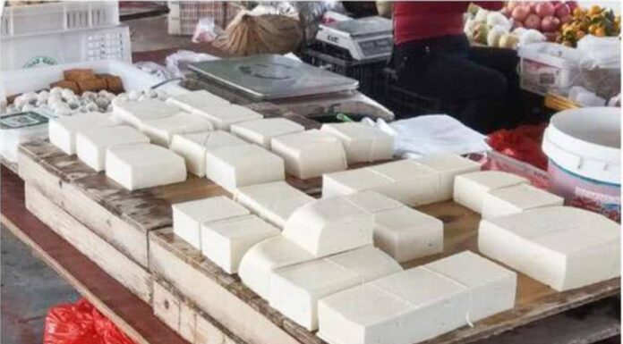 The Tofu Master’s Guide to Identifying Clean Tofu and Its Imposters