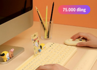 The Essential Handbook for Unique and Functional Desk Accessories for Professional Women