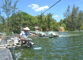 The Ultimate Guide to Uncovering the Secrets of Brackish Water Fish: A Journey into the Unknown