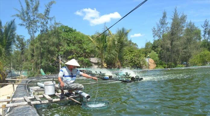 The Ultimate Guide to Uncovering the Secrets of Brackish Water Fish: A Journey into the Unknown