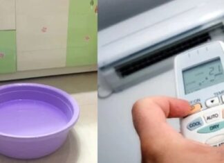 The Overlooked Advantages of Installing a Water Basin in a Climate-Controlled Environment