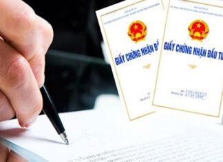 The World is Your Oyster: Navigating the Path to Overseas Investment