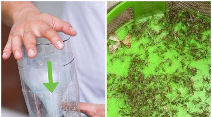 The Magic of Beer: Transforming Empty Bottles into Surprising Discoveries