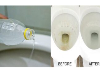 The Magic Potion for Your Toilet: Vinegar!