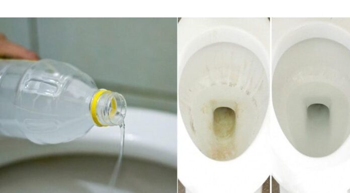 The Magic Potion for Your Toilet: Vinegar!