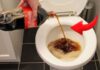 The Magic of Pouring Leftover Soda Down the Drain: An Unexpected Eco-Friendly Hack