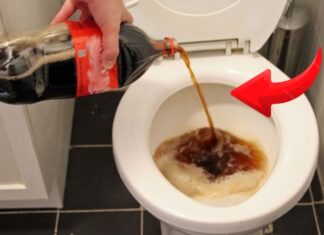 The Magic of Pouring Leftover Soda Down the Drain: An Unexpected Eco-Friendly Hack