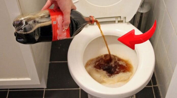 The Magic of Pouring Leftover Soda Down the Drain: An Unexpected Eco-Friendly Hack