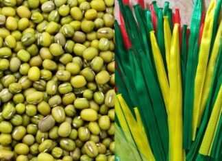 “The Ultimate Guide to Sprouting Beans: A Simple, Effective Method for Perfectly White and Even Bean Sprouts”