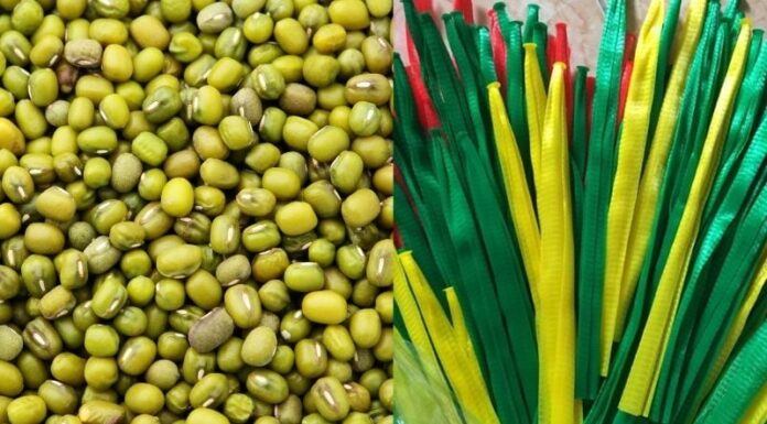 “The Ultimate Guide to Sprouting Beans: A Simple, Effective Method for Perfectly White and Even Bean Sprouts”
