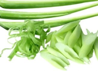 The Ultimate Guide to Washing Mosquito Nets: Say Goodbye to Itchy Hands