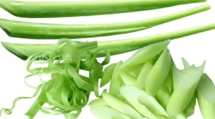 The Ultimate Guide to Washing Mosquito Nets: Say Goodbye to Itchy Hands