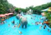 The Ultimate Guide to Saigon’s Top 4 Water Parks: A Cool Escape for the Whole Family this Summer