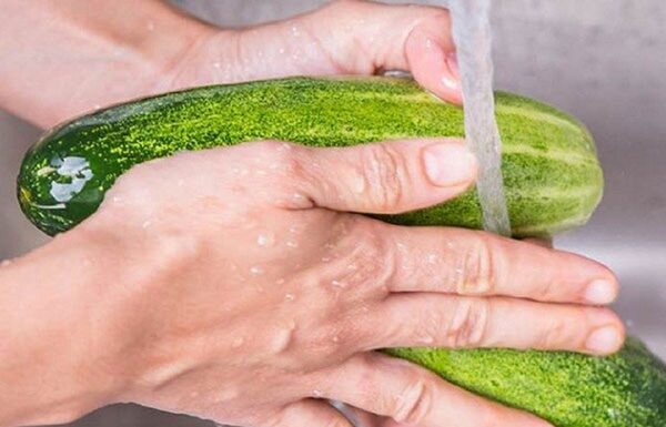 Five Tell-Tale Signs of Pesticide-Laden Cucumbers: The Second Sign is a Lifesaver!