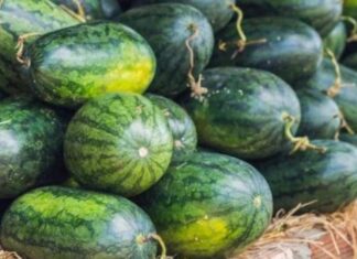 The Top Fruits to Avoid When Making Ancestral Offerings: A Guide to Maintaining Good Feng Shui.