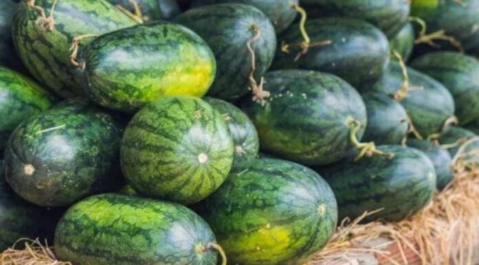 The Top Fruits to Avoid When Making Ancestral Offerings: A Guide to Maintaining Good Feng Shui.