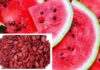 “Watermelon Seeds: Nature’s Beauty Secret for Skin and Hair”