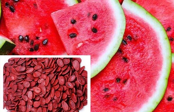 “Watermelon Seeds: Nature’s Beauty Secret for Skin and Hair”